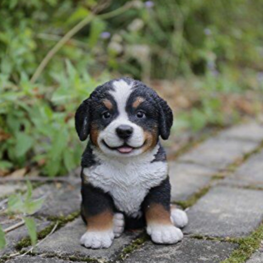 BERMESE MOUNTAIN DOG RESIN FIGURE STATUE **SHIPS FEDEX***